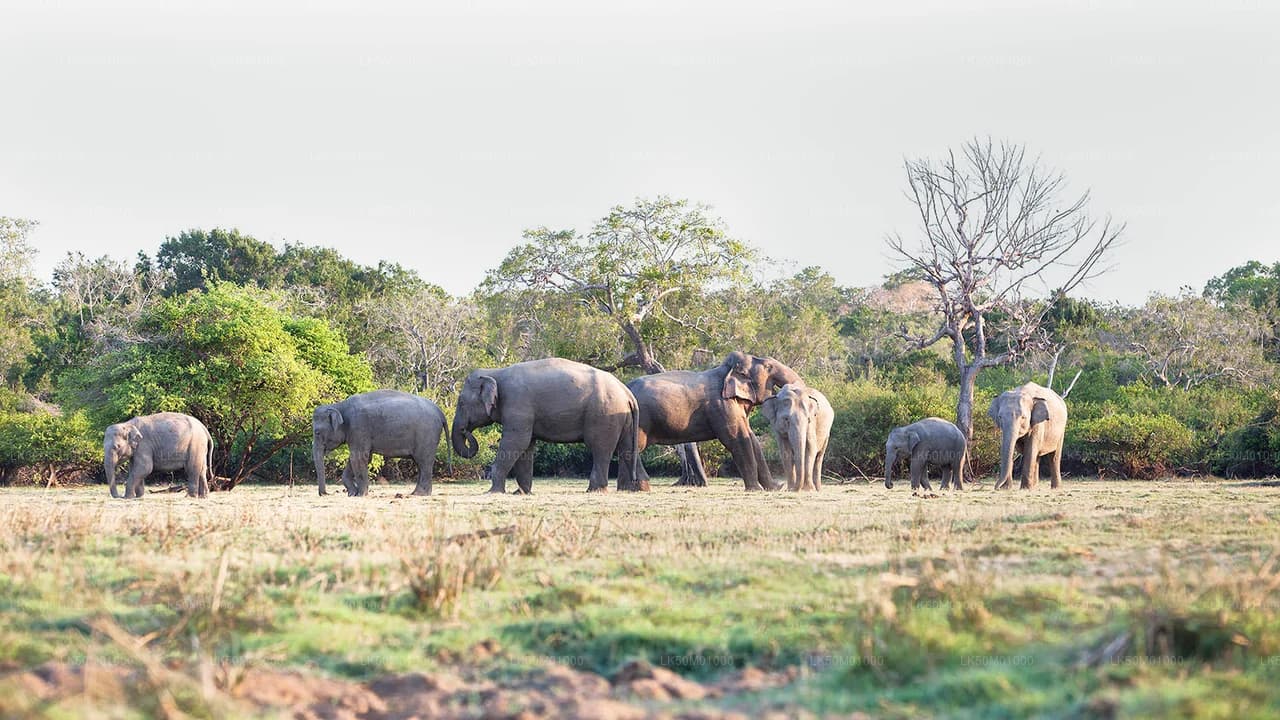 Lahugala Kitulana National Park