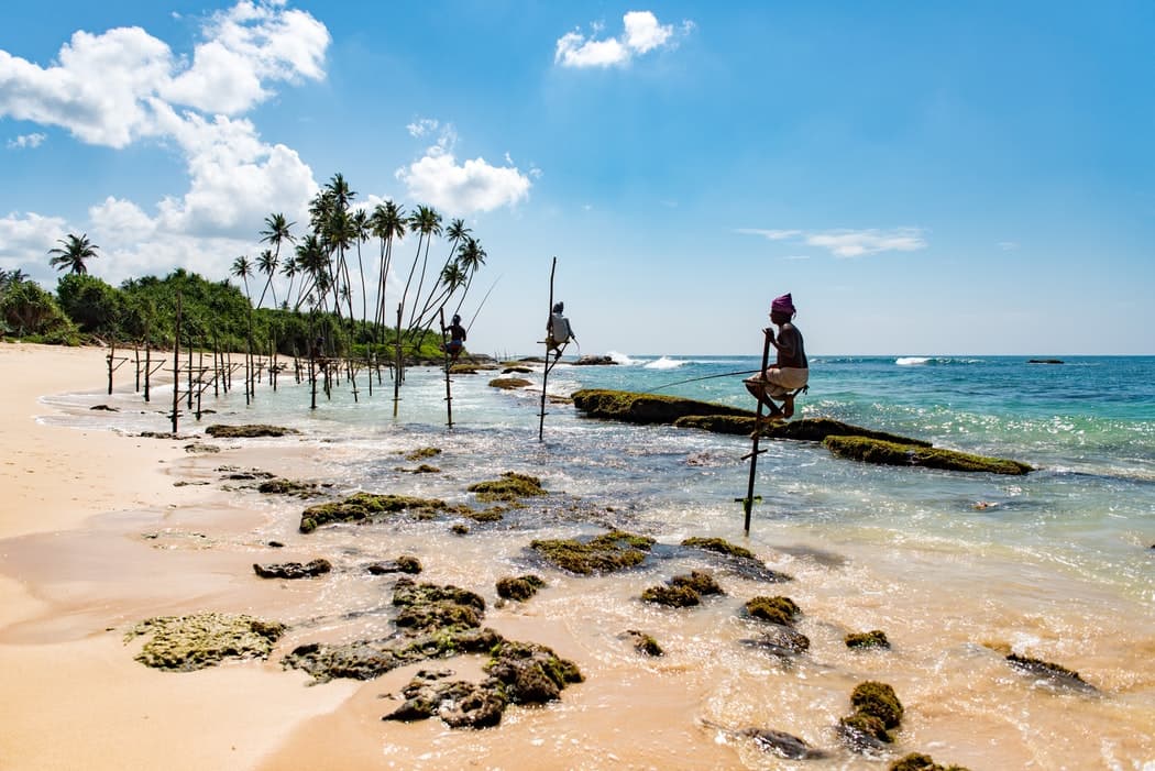 Koggala Stilt Fishermen