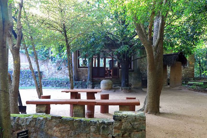 Popham's Arboretum