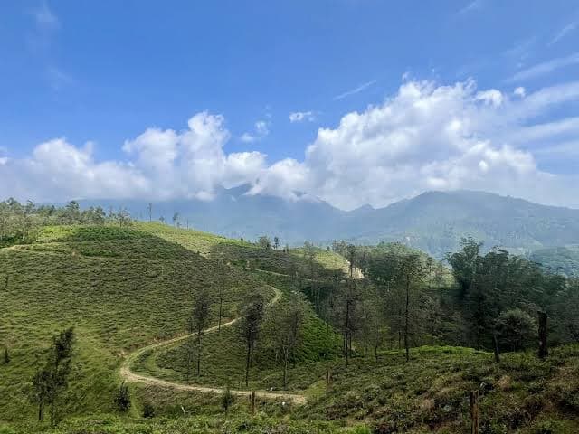 Pekoe Trail (Stage 17) — Demodara to Hali Ela