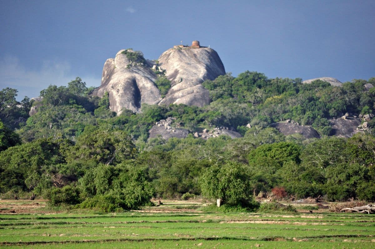Kudumbigala Forest Monastery