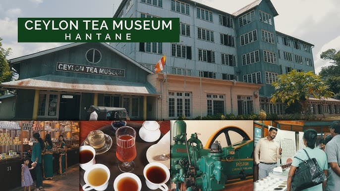 Ceylon Tea Museum