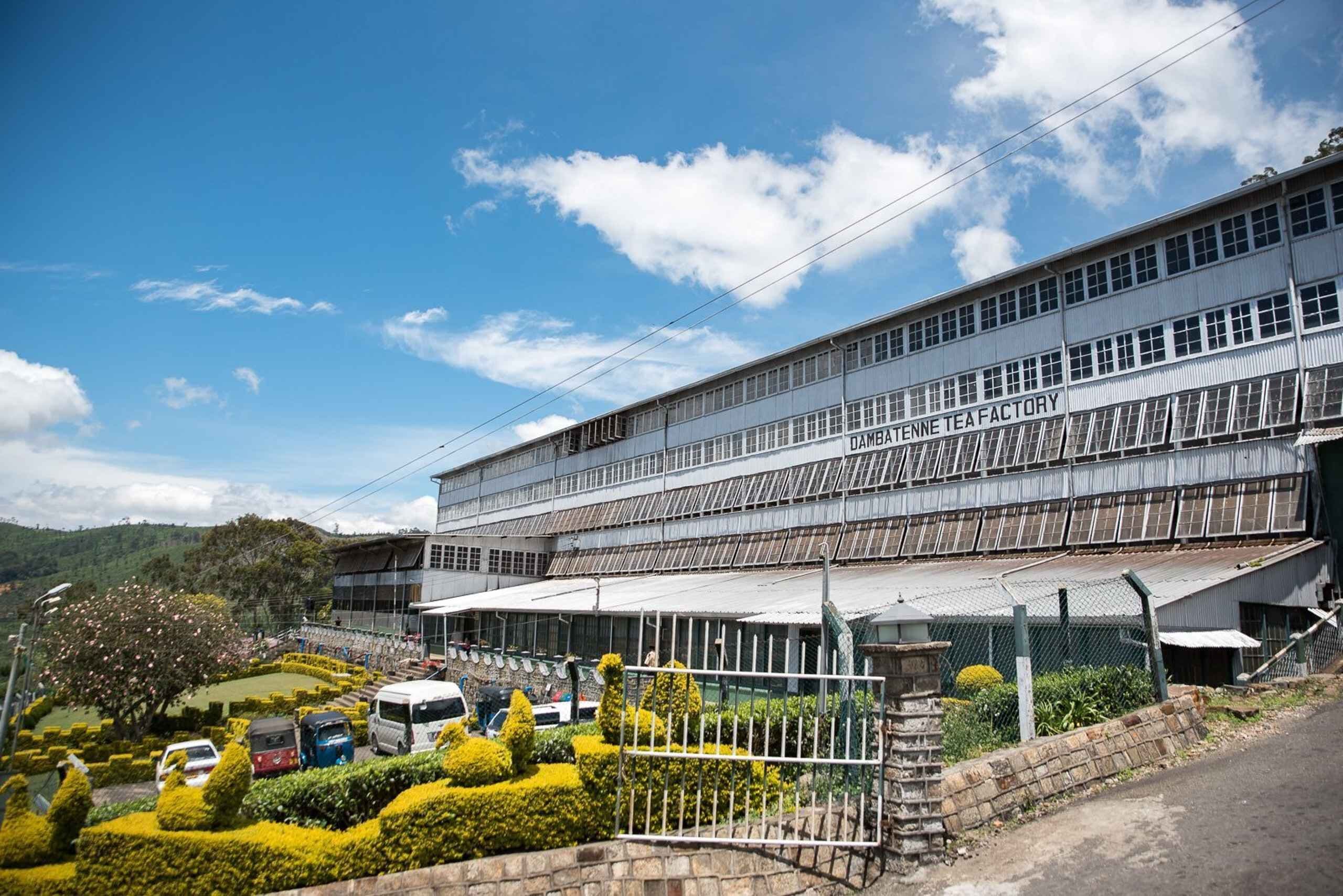 Dambatenne Tea Factory