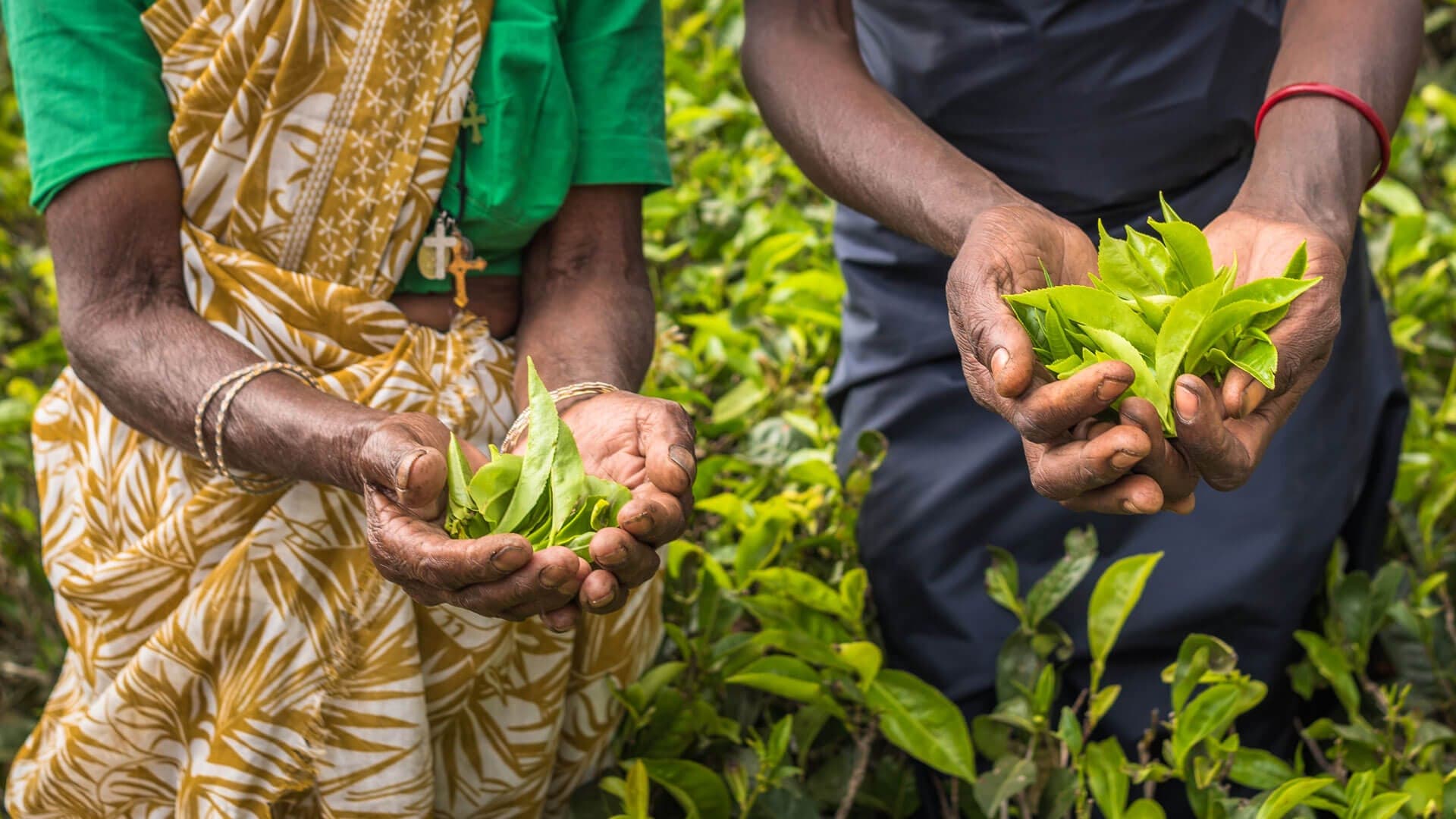 Handunugoda Tea Estate
