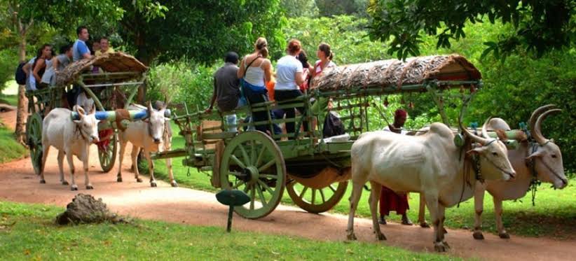 Hiriwadunna Village Trek