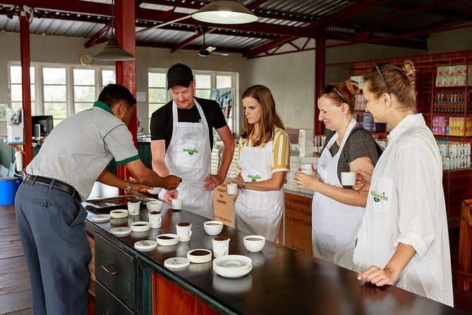 Halpewatte Tea Factory