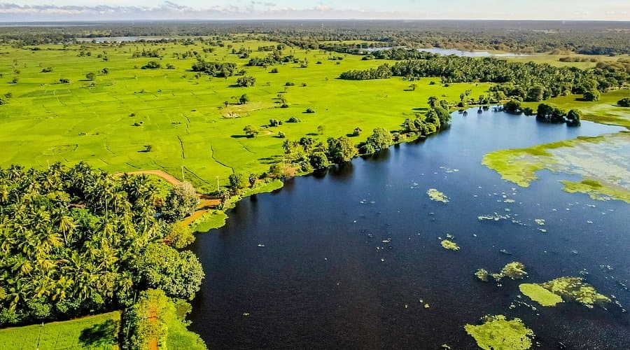 Anawilundawa Wetland Sanctuary