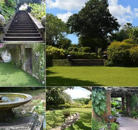 Brief Garden (Bevis Bawa)