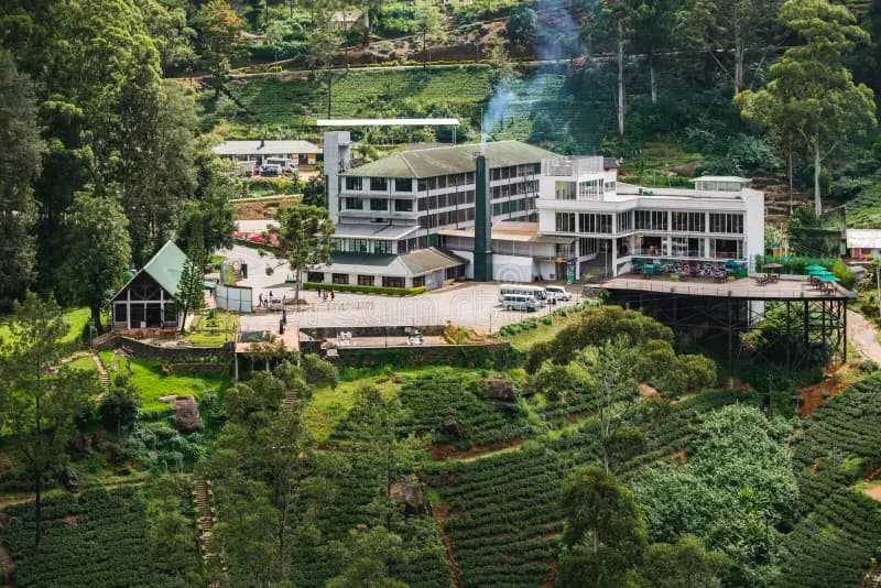Damro Tea Factory - Labookellie Tea Lounge