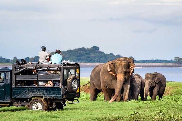 Hurulu Eco Park