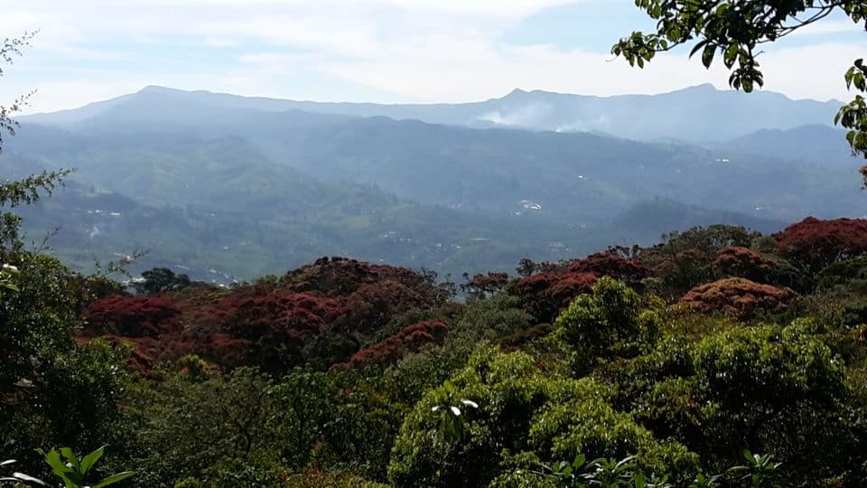 Great Western Mountain