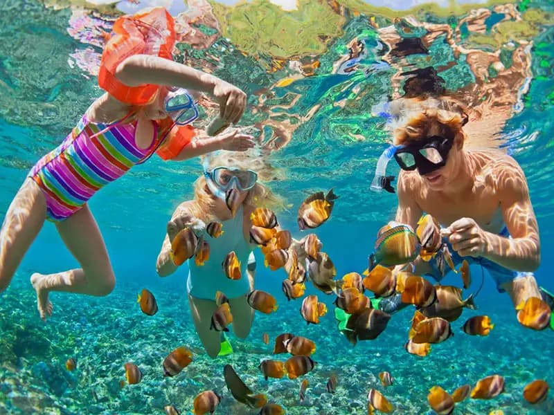 Hikkaduwa Beach and Snorkelling