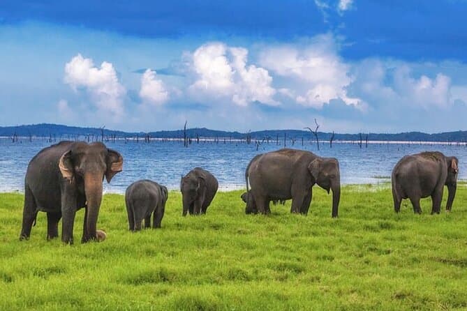 Kaudulla National Park