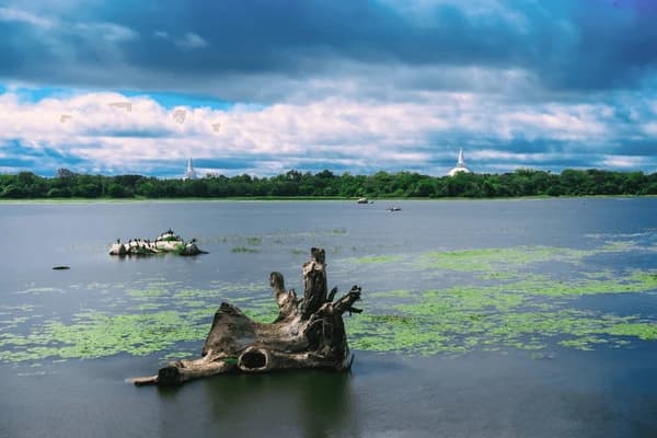 Basawakkulama Wewa