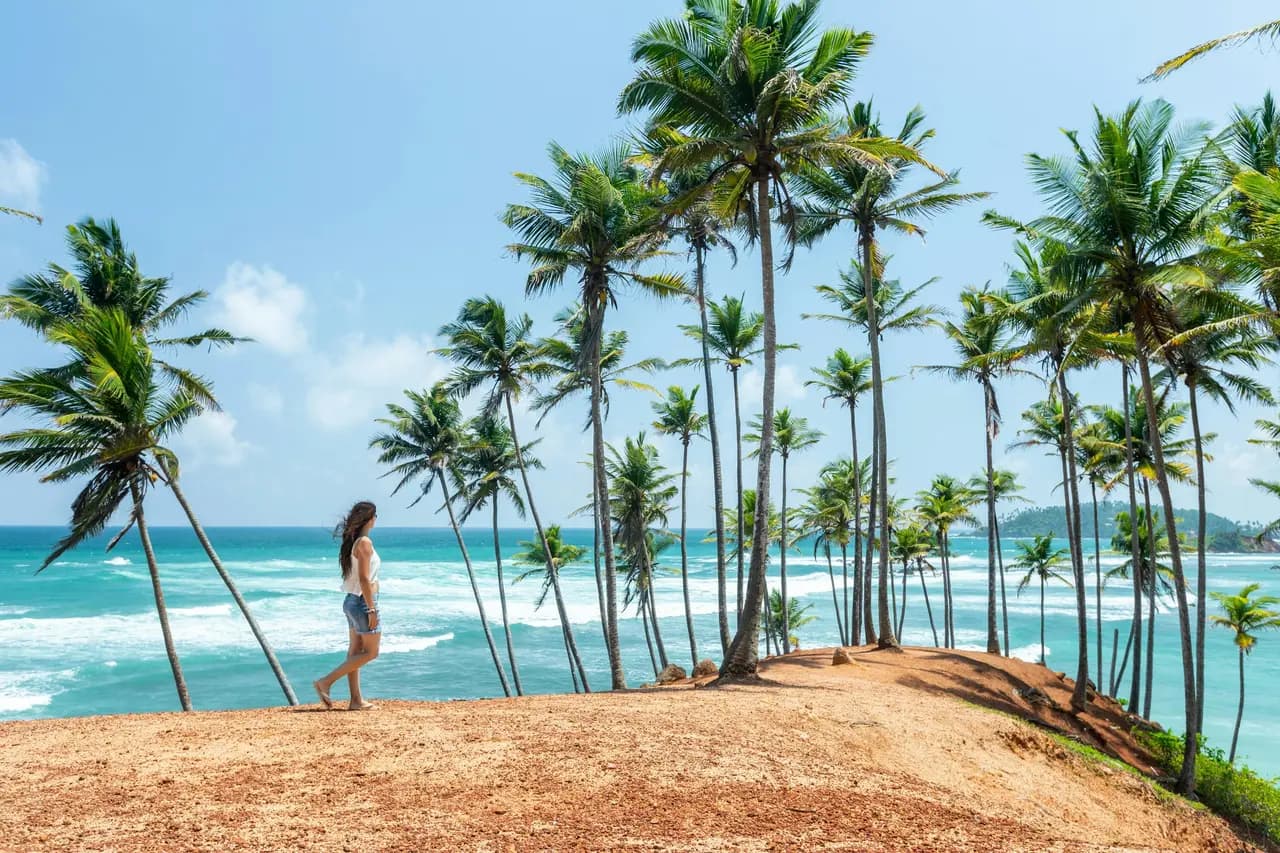 Sri Lankan coconut beach background