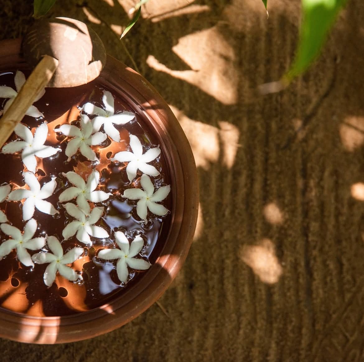 The spice trail