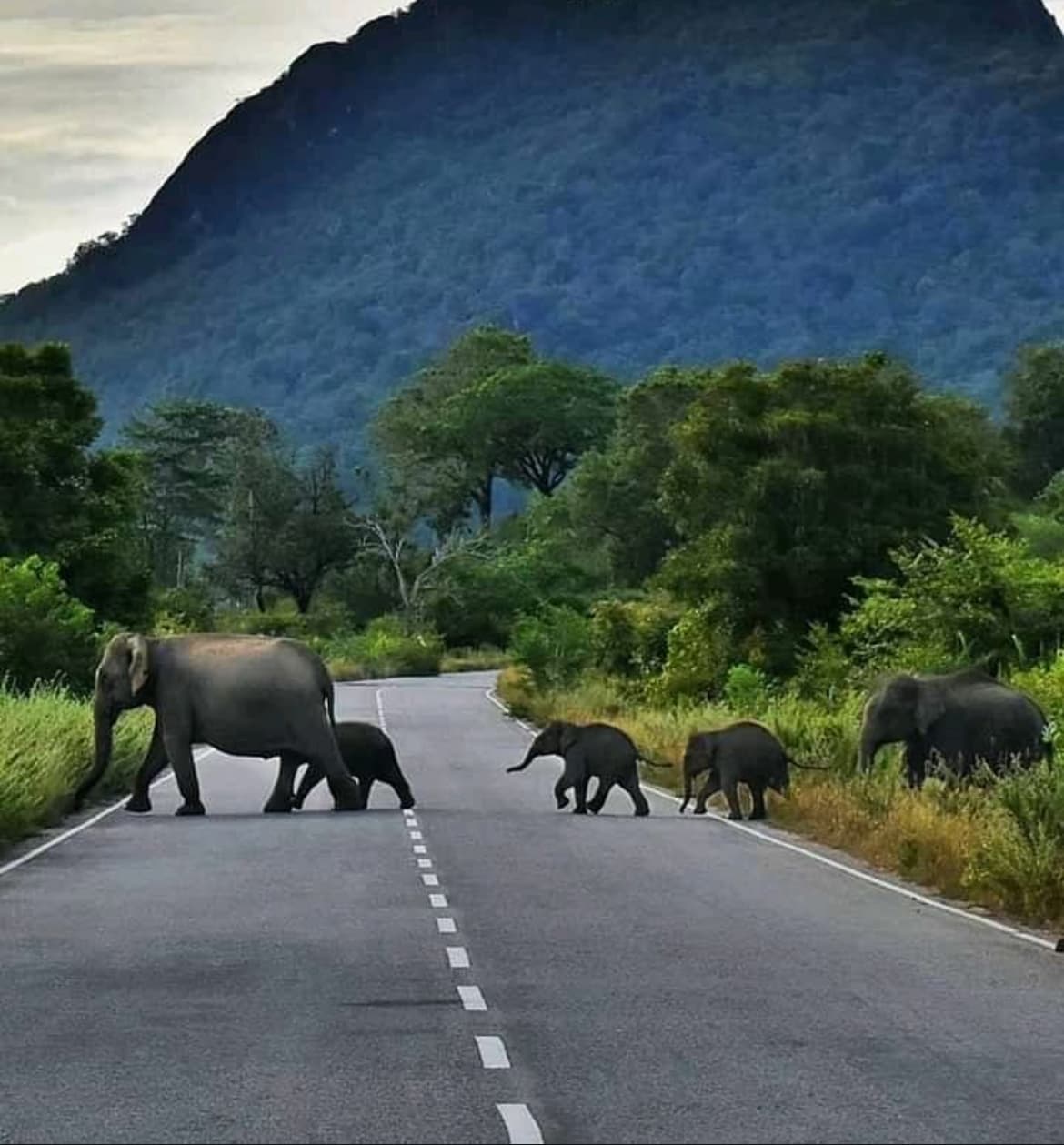 Maduru Oya National Park