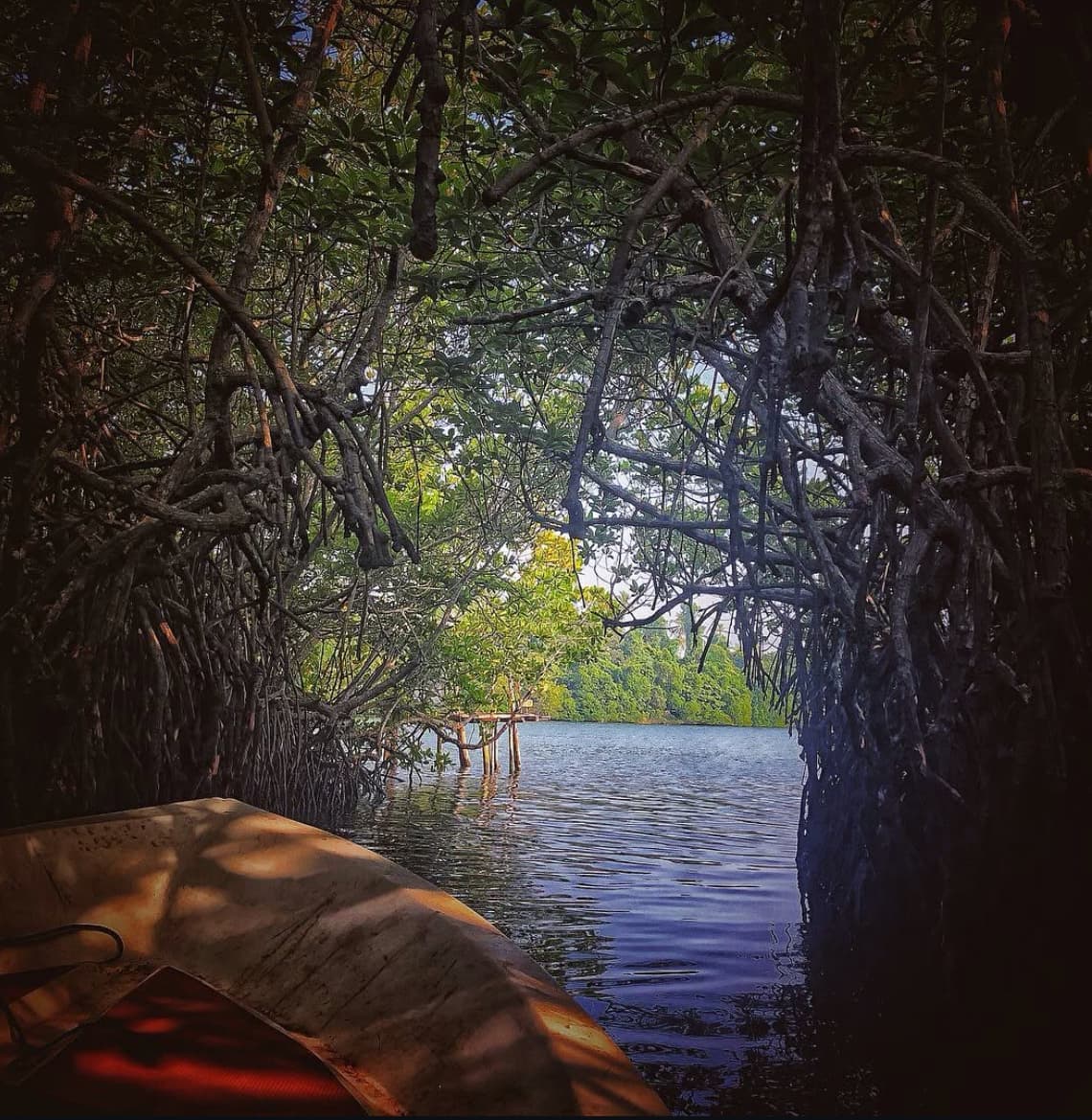 Bentota River Safari