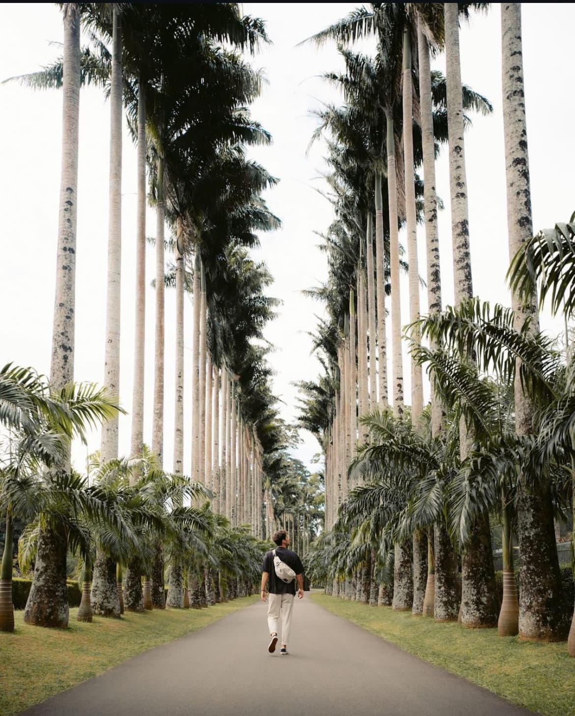 Royal Botanic Garden