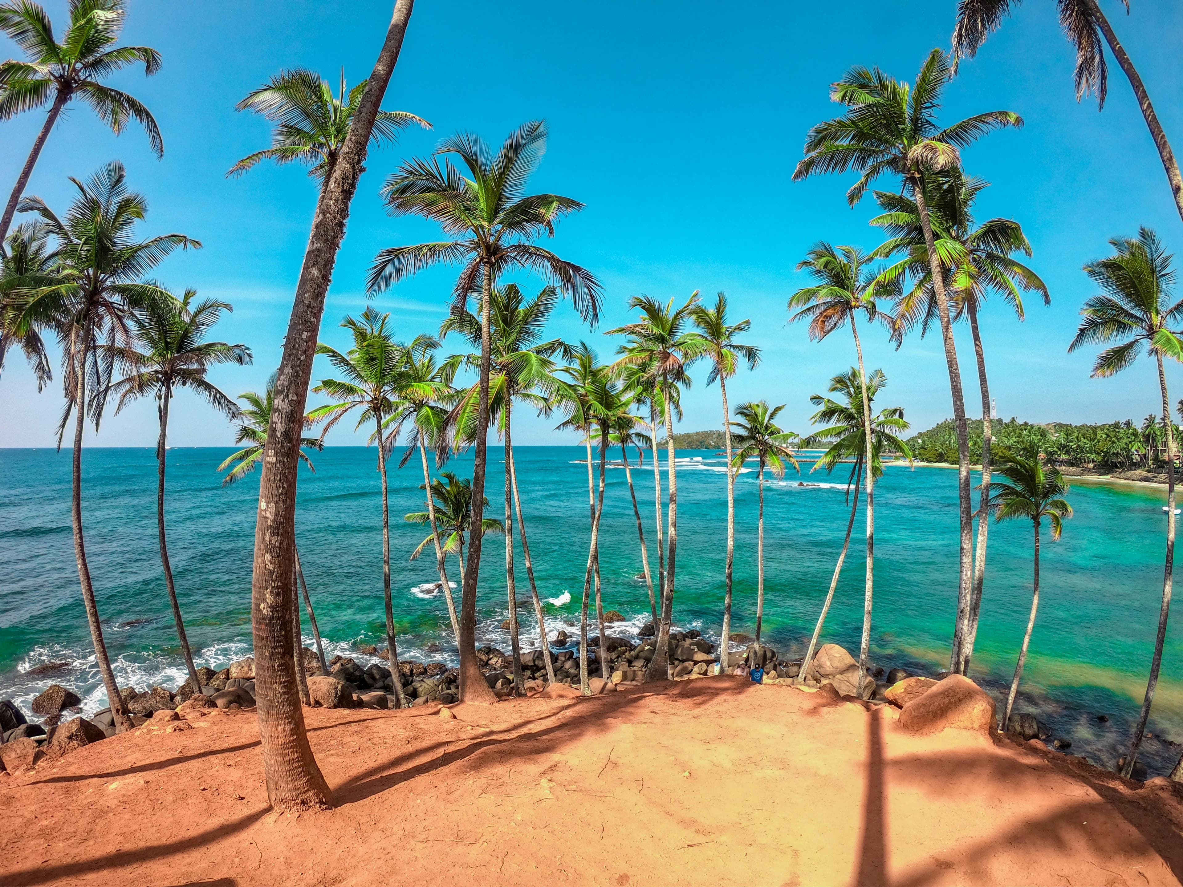 Coconut Tree Hill Mirissa
